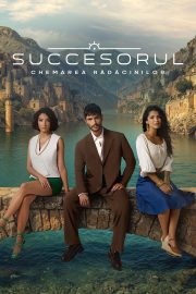 succesorul_poster_mare